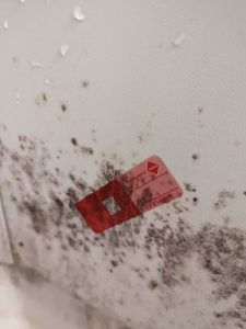 home inspection