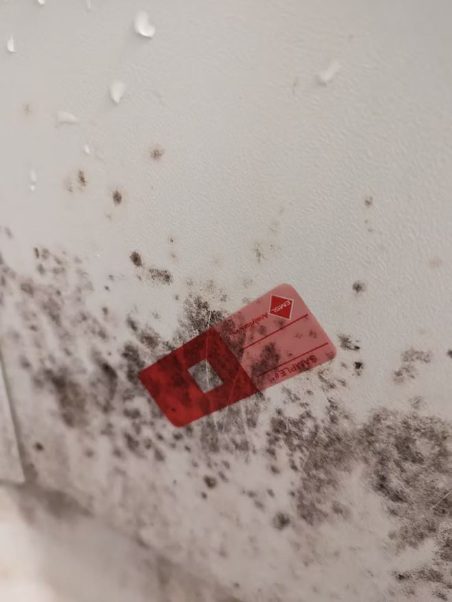 home inspection
