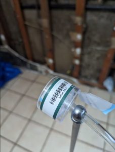 mold inspection and testing