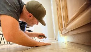 Property Inspection image