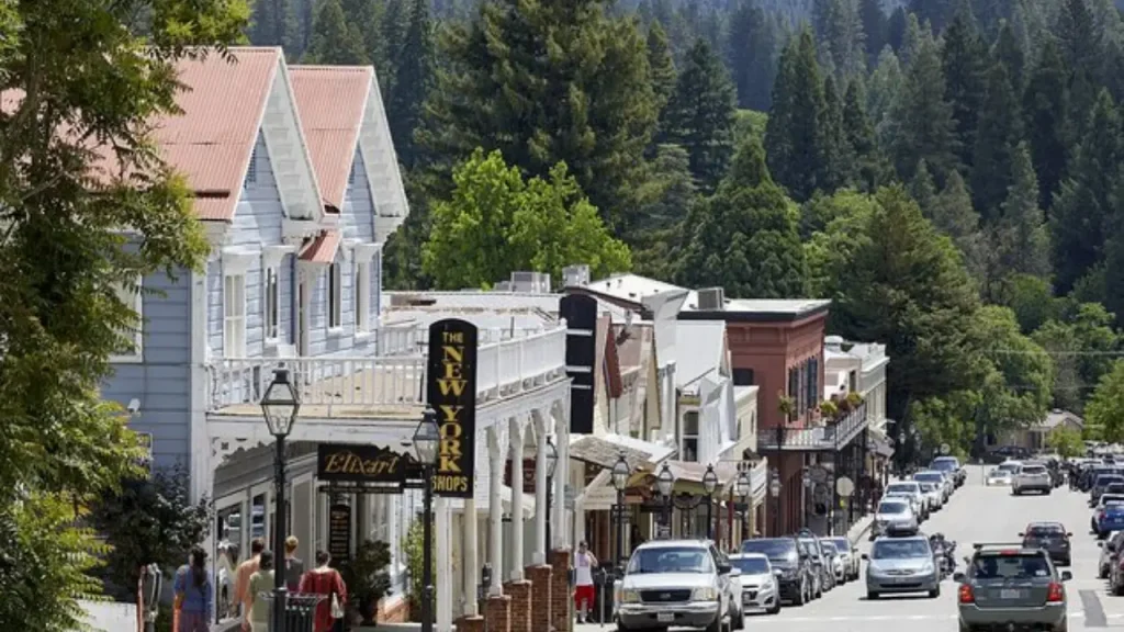 Nevada County image