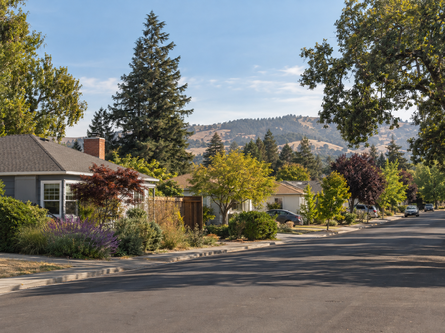 Established homes and mature trees in a Cotati residential neighborhood