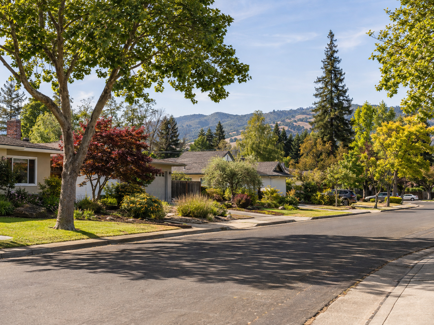 Historic Victorian and Craftsman homes in a Petaluma residential neighborhood