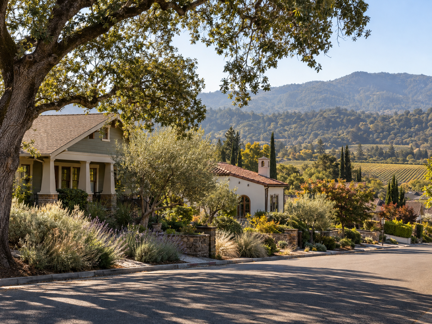 Established homes and mature trees in a Rohnert Park neighborhood
