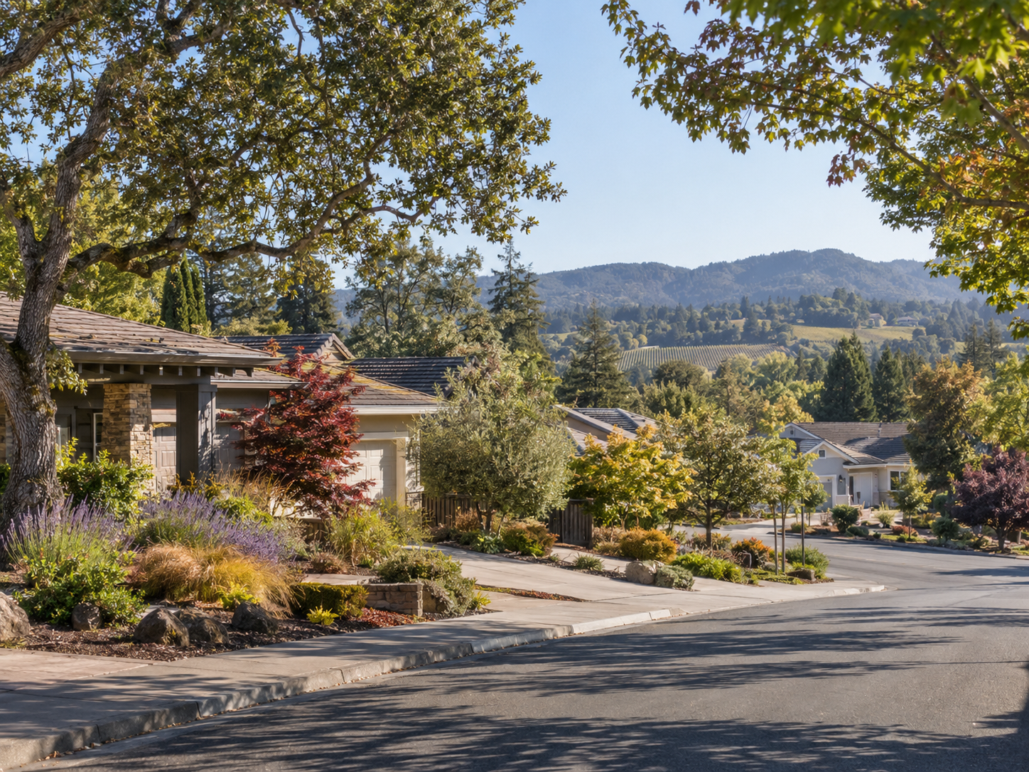 Residential homes and landscaped yards in Windsor, California