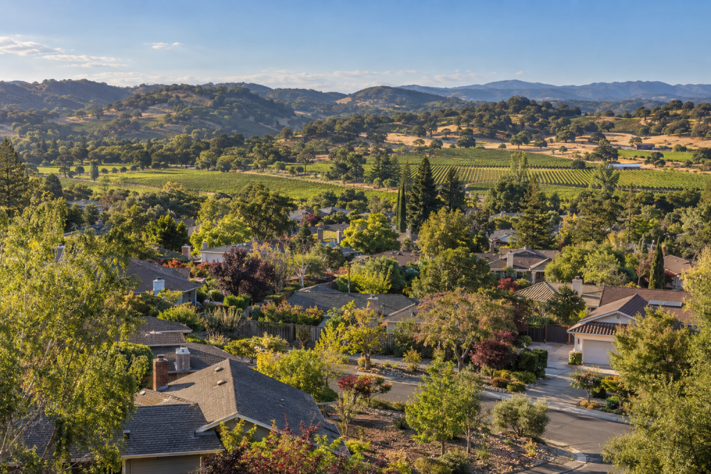 Santa Rosa neighborhood with vineyards and rolling North Bay hills